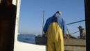 Tangier Island, Virginia, sorting oysters (Credit: Credit: Veena Rao)