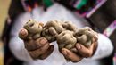 How the humble potato changed the world