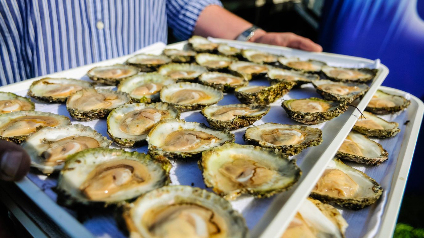 A taste of Ireland's most famous oysters BBC Reel