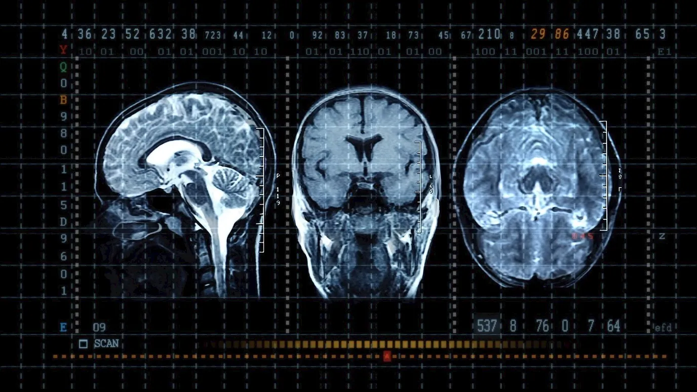Neuroplasticity How to rewire your brain BBC Reel