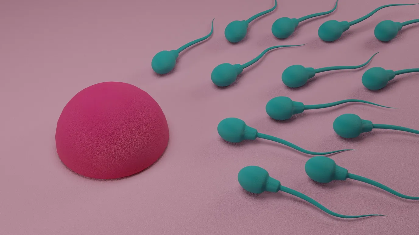 How Modern Life Is Making Men Infertile Bbc Reel