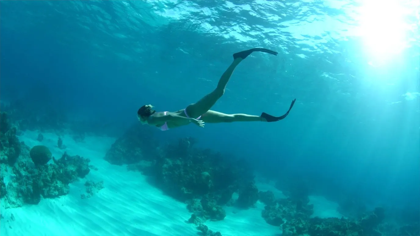 Freediving The science of holding your breath BBC Reel