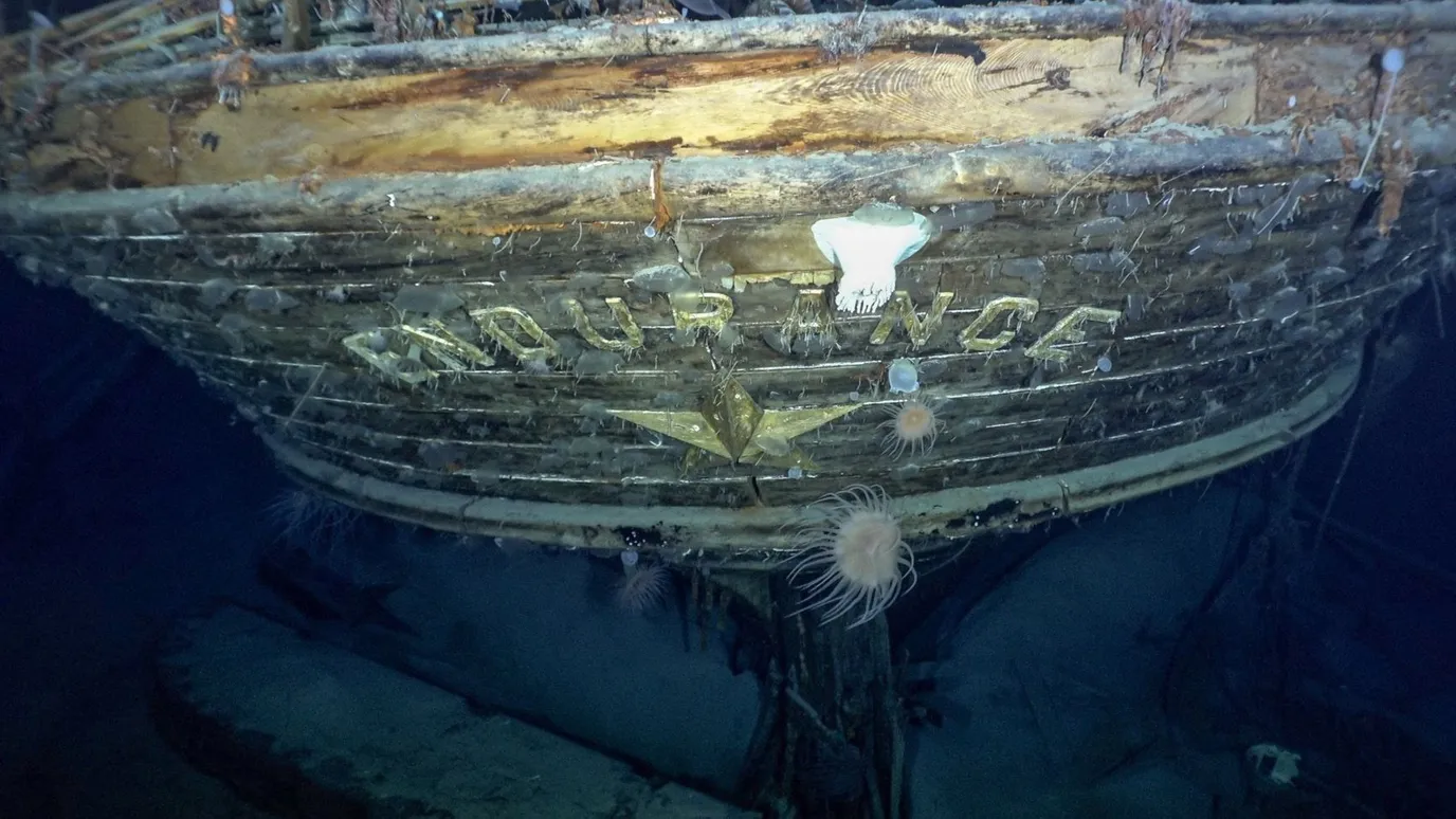 Endurance: 'The finest wooden shipwreck I've ever seen' - BBC Reel