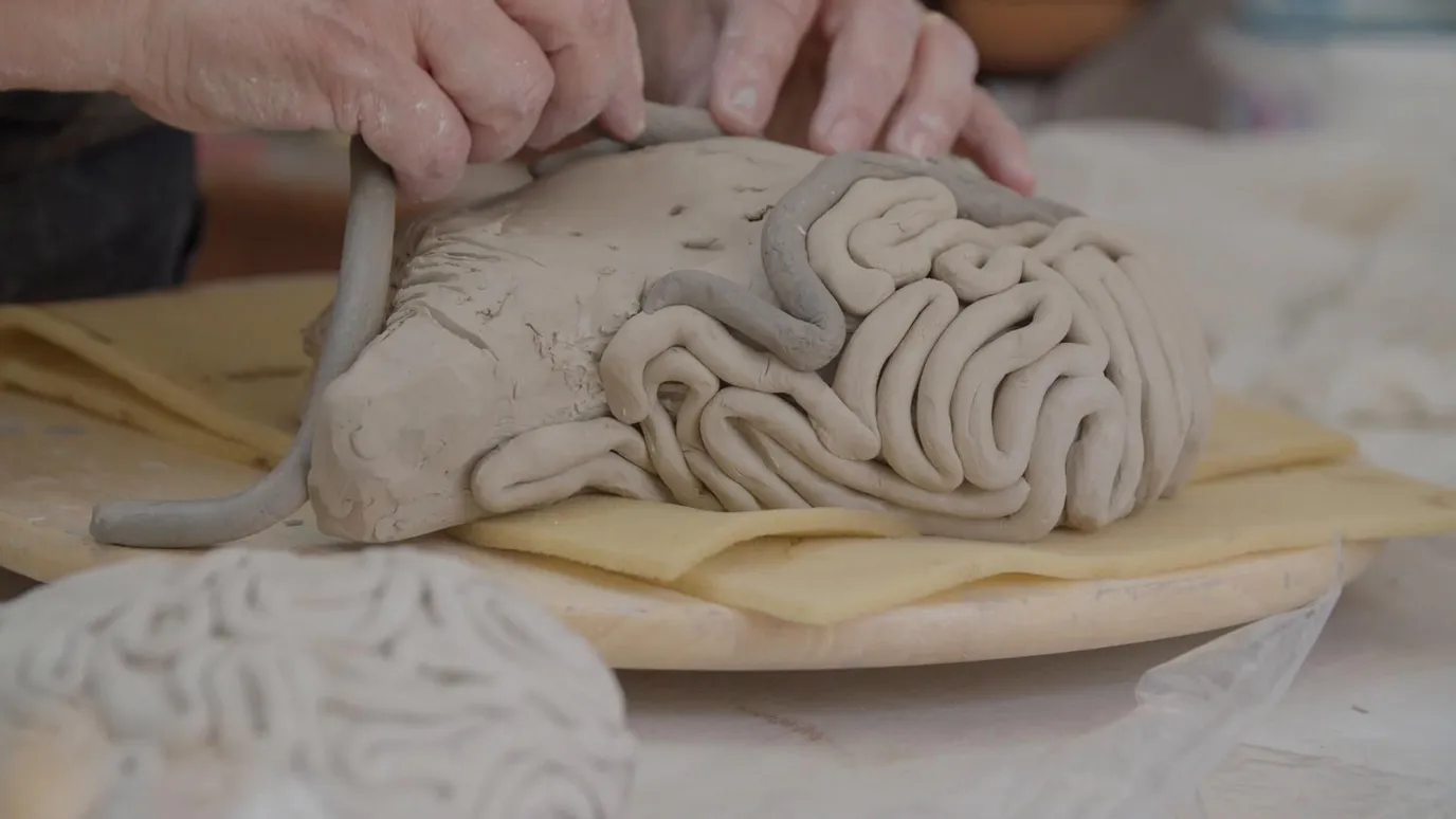 Why exercise can help sculpt the brain bbc reel