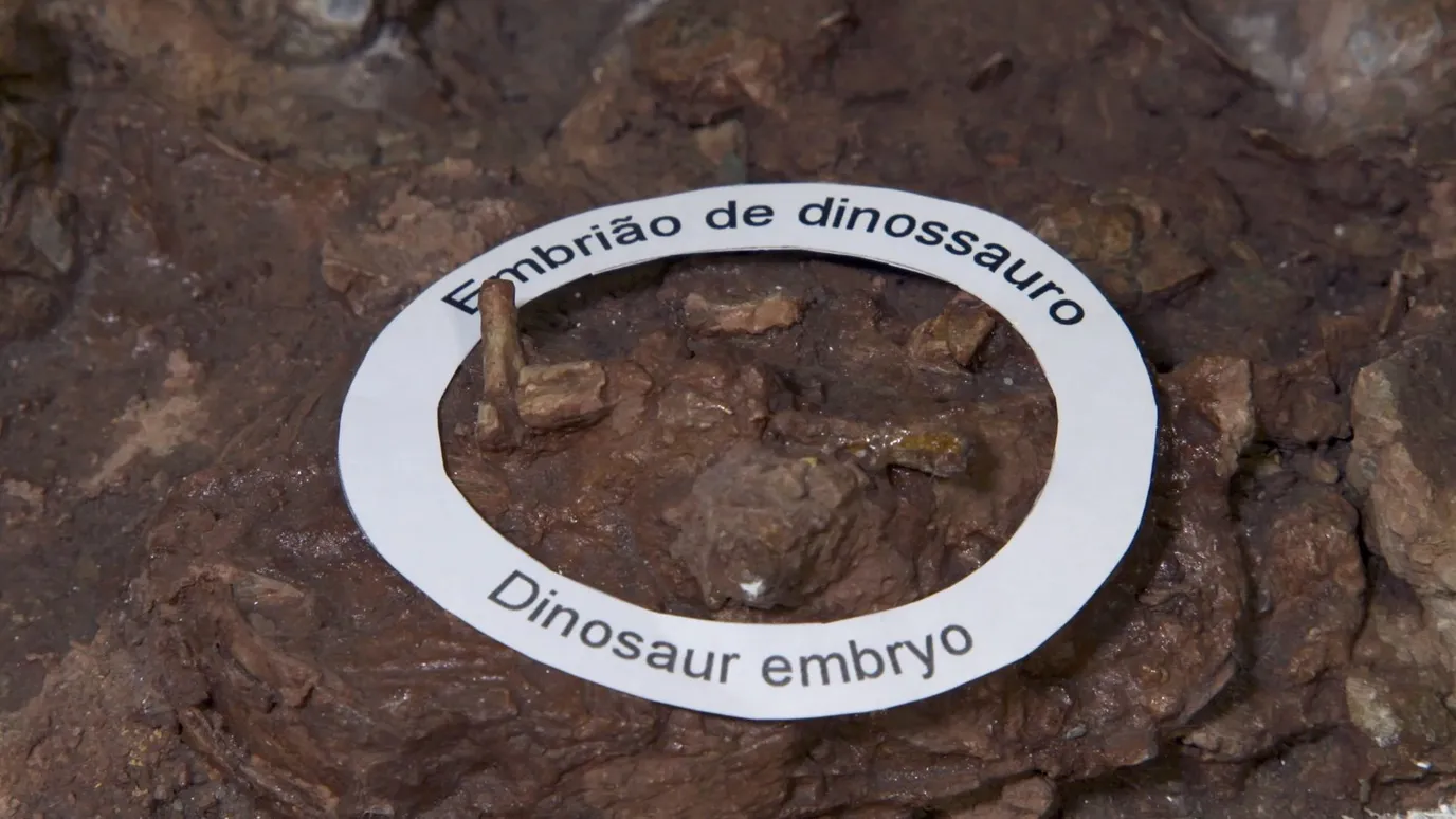 A real life 'Jurassic Park' in the heart of Portugal BBC Reel