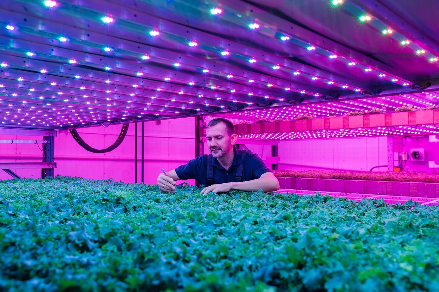 The Great Green Investment Home