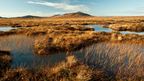 Scotland’s neglected “wet desert”