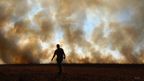 How distant wildfires harm your health