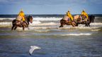 The last European horse fishermen