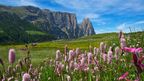 Austria's natural 'painkiller' bath