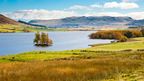 Scotland's mysterious 'loch dwellers'