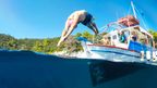 The rise of the slow swimming holiday