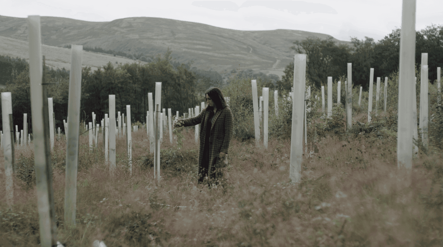 Astrazeneca Astrazeneca