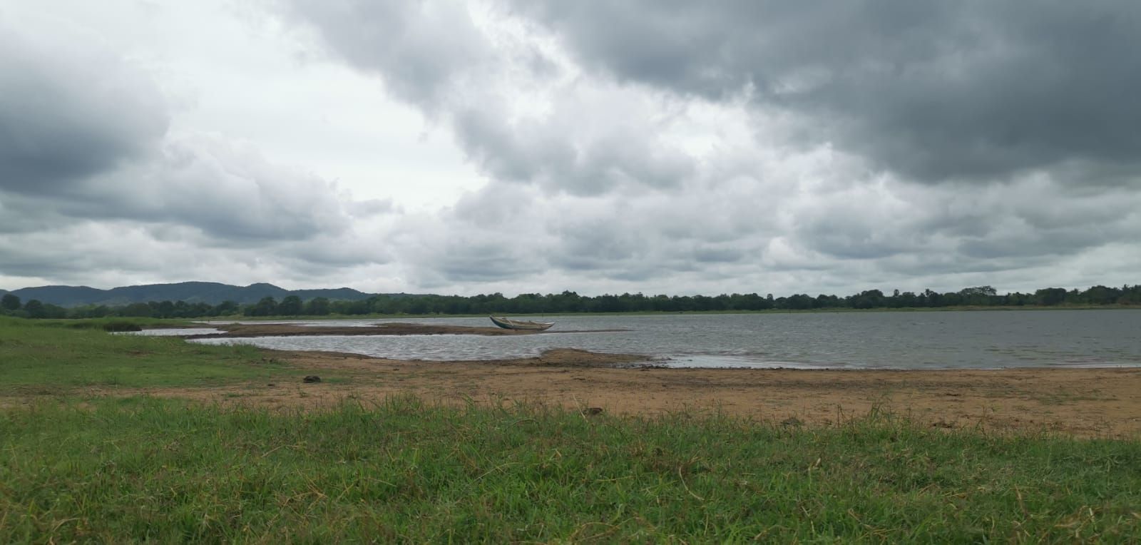 Landscape with lake and trees