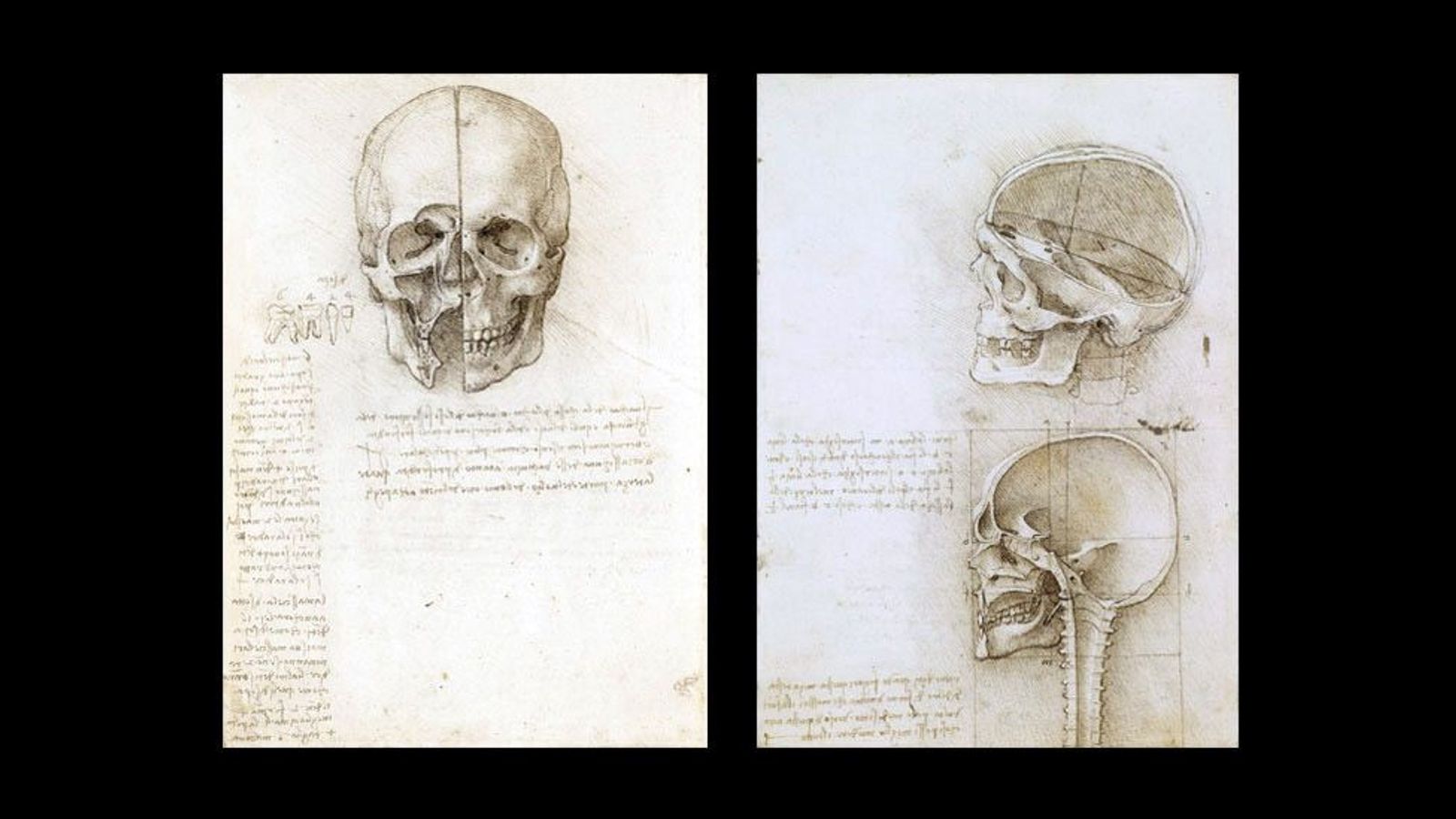 Leonardo Da Vincis Groundbreaking Anatomical Sketches Bbc Culture 4607