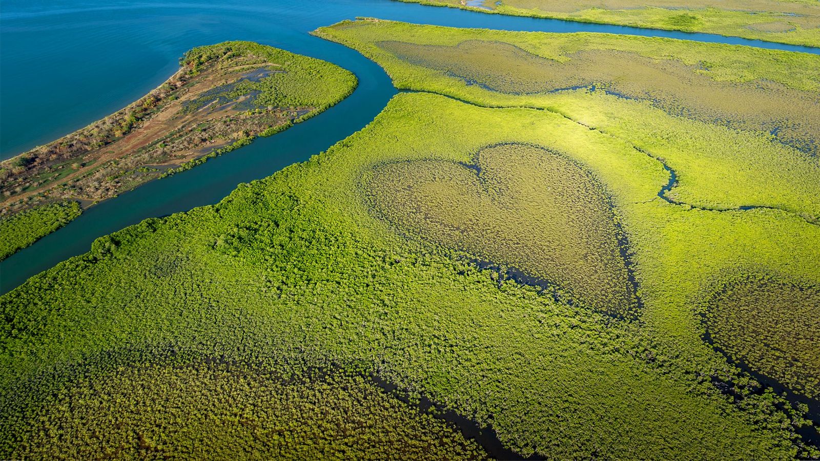 Mangrove de Voh if located in Nouvelle-Calédonie Mangrove de Voh if located in Nouvelle-Calédonie