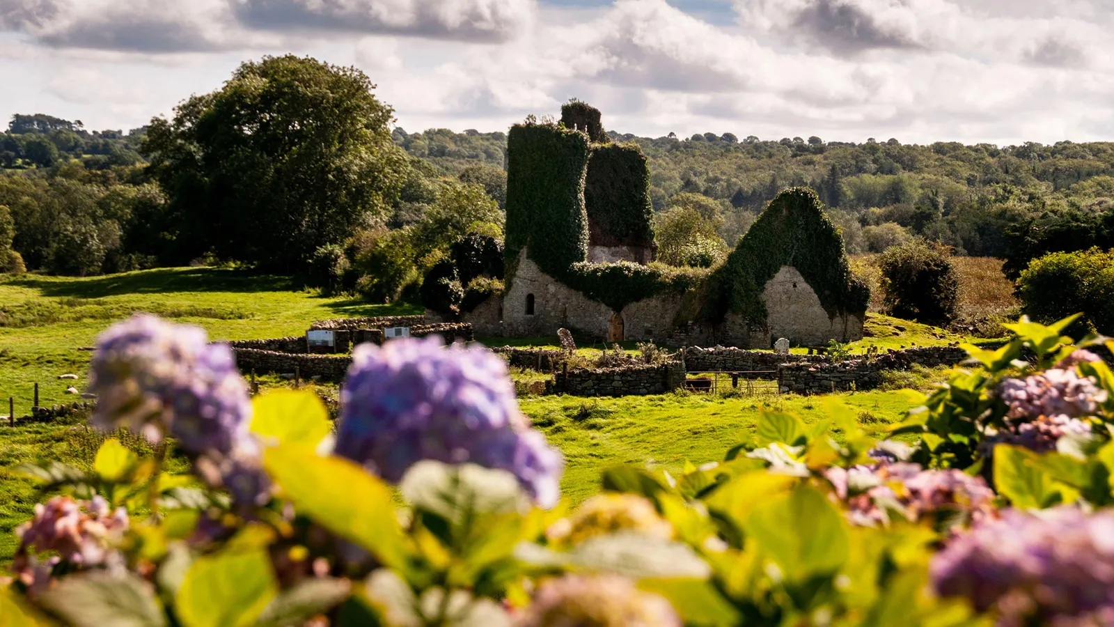 Is Santa Claus buried in Ireland? Is Santa Claus buried in Ireland?