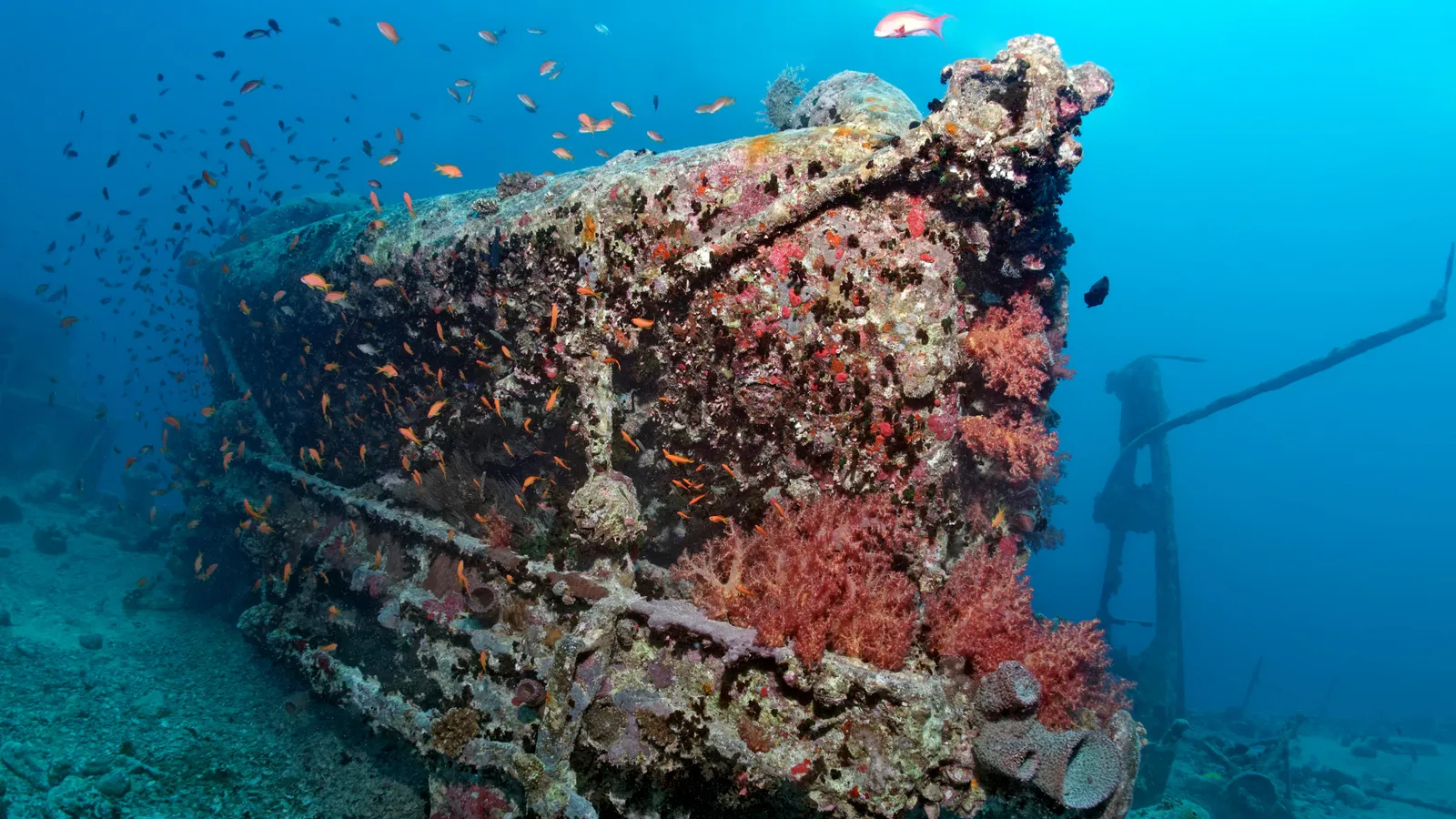 How many shipwrecks are there in the world's oceans? 