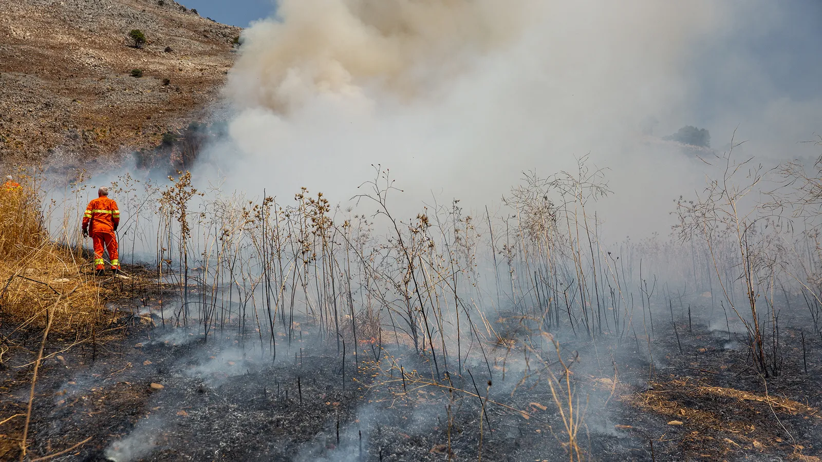 Wildfires: The changing face of the Mediterranean landscape