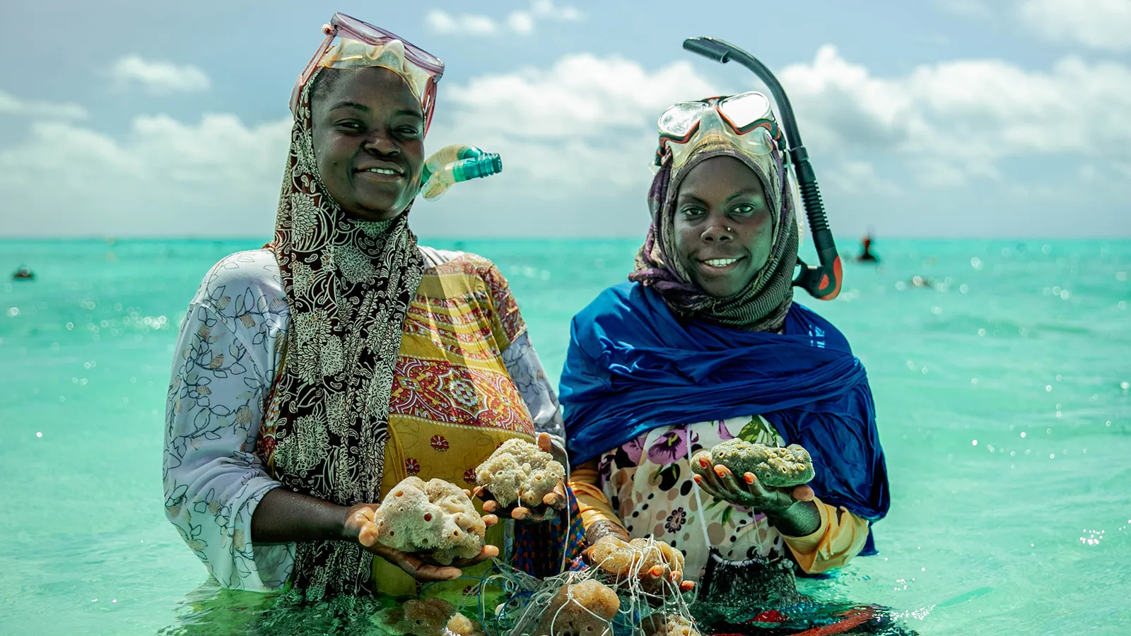 Sea Sponges Offer Lifeline to Women in Zanzibar