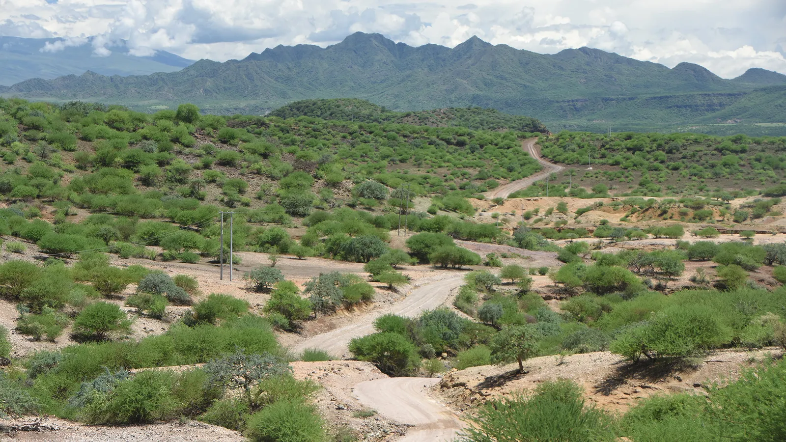 The road less travelled to the Serengeti