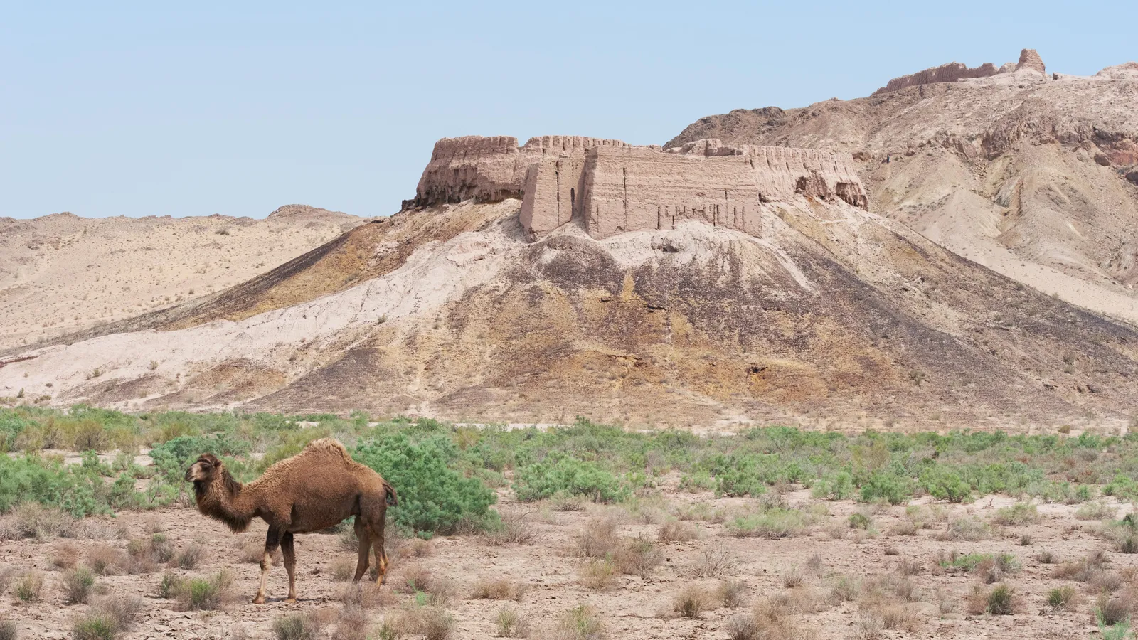 Life in Karakalpakstan: The 'stan within a stan'