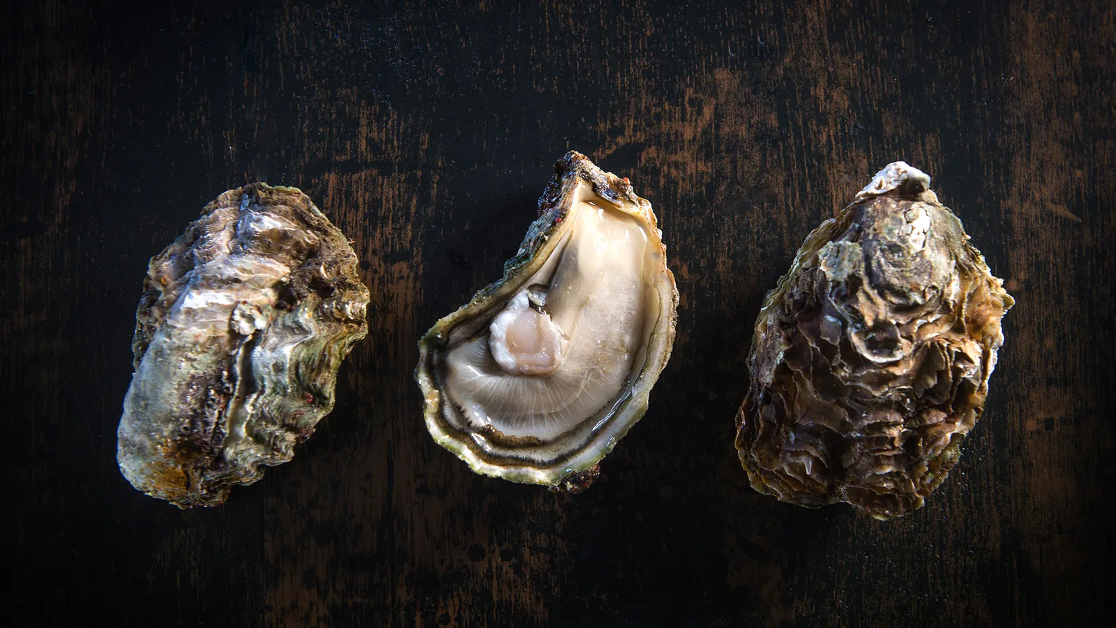 HAPPY VALENTINE’S DAY! Here’s what you need to know about aphrodisiacs 🍑🍆