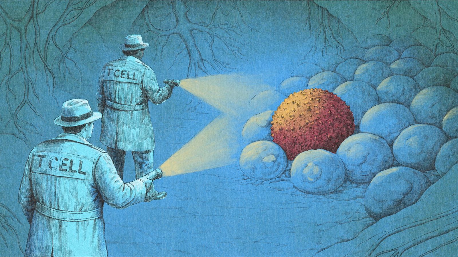 (Credit: Emmanuel Lafont)