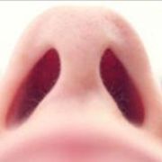 Training to improve smell thumbnail