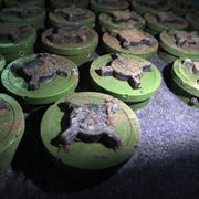 Landmine use 'highest since 2004' thumbnail