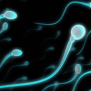 Are sperm counts really dropping? thumbnail