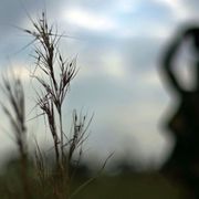 A farm in your backpack thumbnail