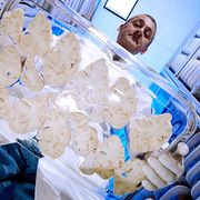 Banking on brain donors thumbnail