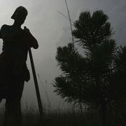 The Great Green Wall of China thumbnail