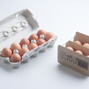 Egg box cracks century-old design thumbnail