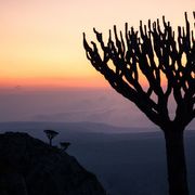 Stepping back in time in Socotra thumbnail