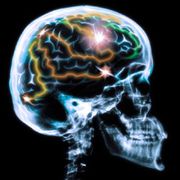 Unlocking secrets of ageing minds thumbnail