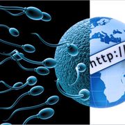 Facebook vs sperm thumbnail