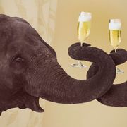 The animals that take drugs thumbnail