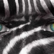 Are hairy faces less evolved? thumbnail
