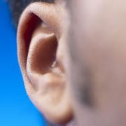 Why you can't trust your ears thumbnail