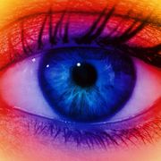The limits of human sight thumbnail