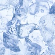 The 'tiny farm animals' kept on ice thumbnail