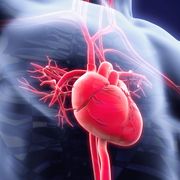 What you may not know about your heart thumbnail