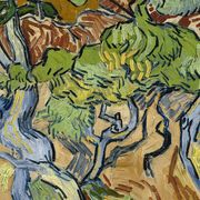The mystery of Van Gogh’s madness thumbnail