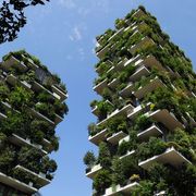 Italy’s innovative skyward forest thumbnail