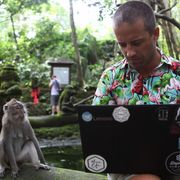 The digital nomads working in paradise thumbnail
