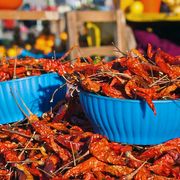 Be careful what you say in Mexico thumbnail