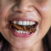 Insects: The next superfood? thumbnail