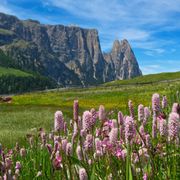 An age-old Alpine detox tradition thumbnail